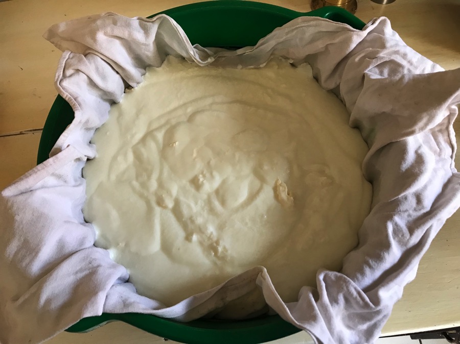 How to Make Cream Cheese 2